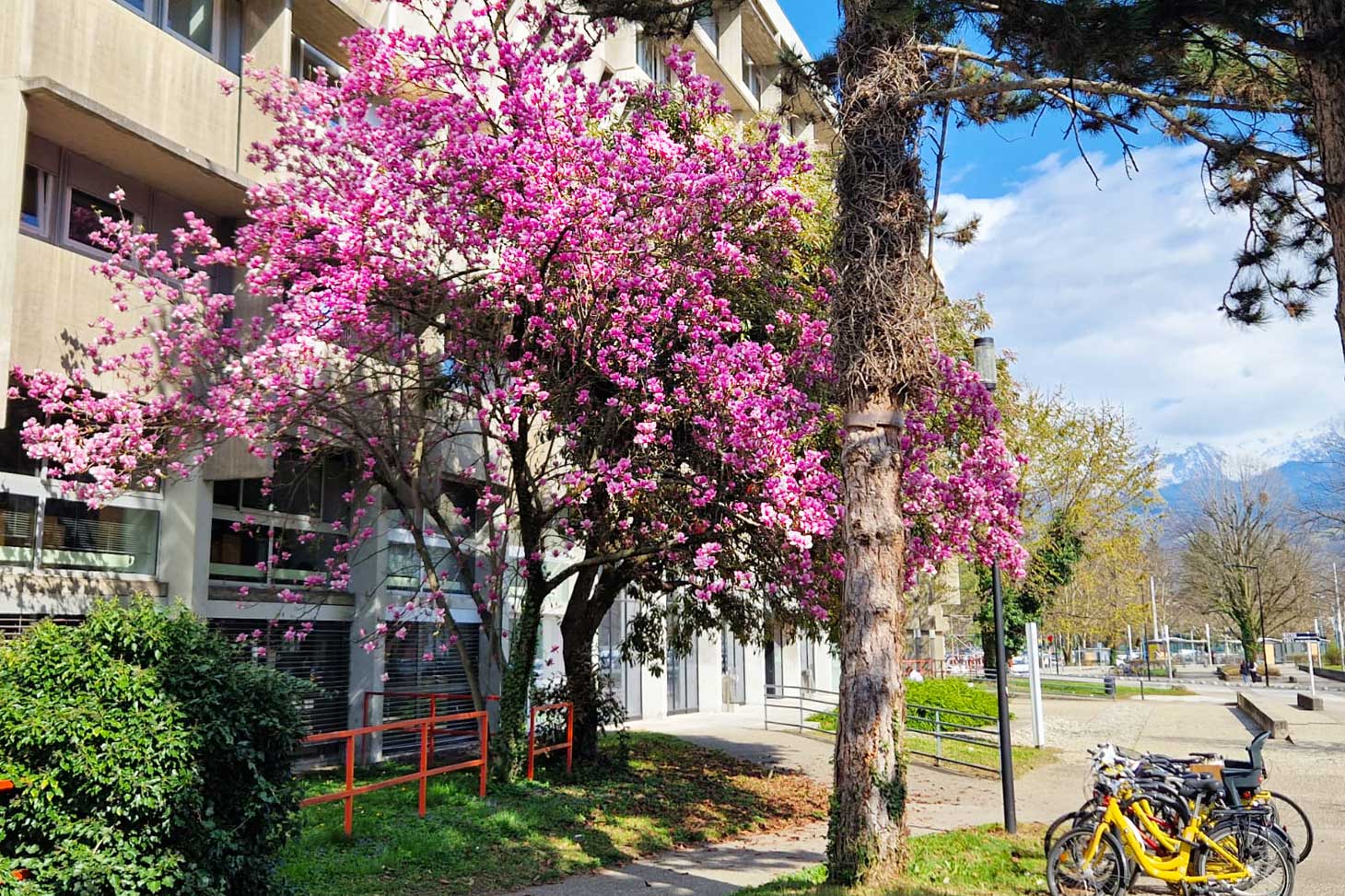 bateg economie grenoble