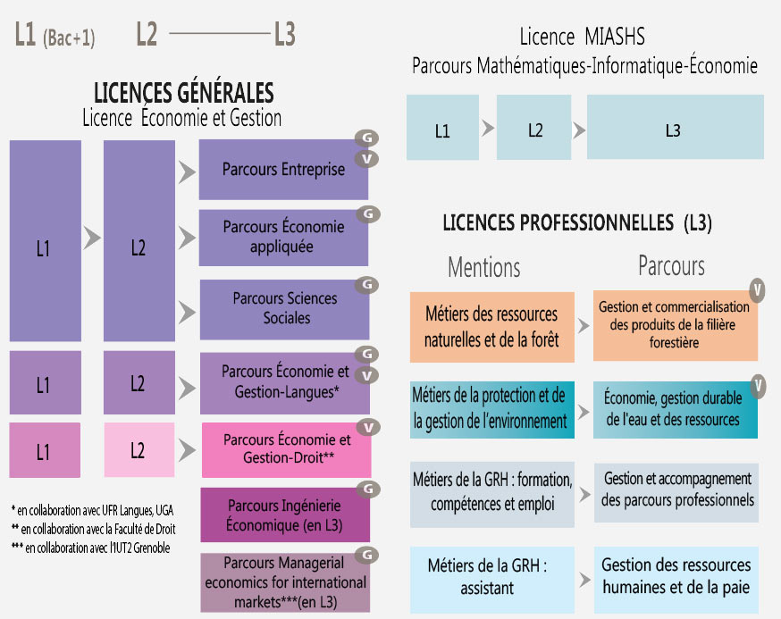 Faculté D'économie - Université Grenoble Alpes - Formations